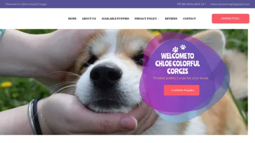A screenshot of Chloecolorfulcorgis.com