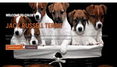 A screenshot of Genlanfamilystbernard.com