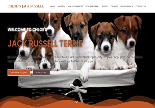is chloesjackrussell.com legit? screenshot
