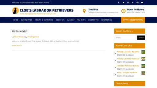 A screenshot of Chloeslabradorretrievers.com