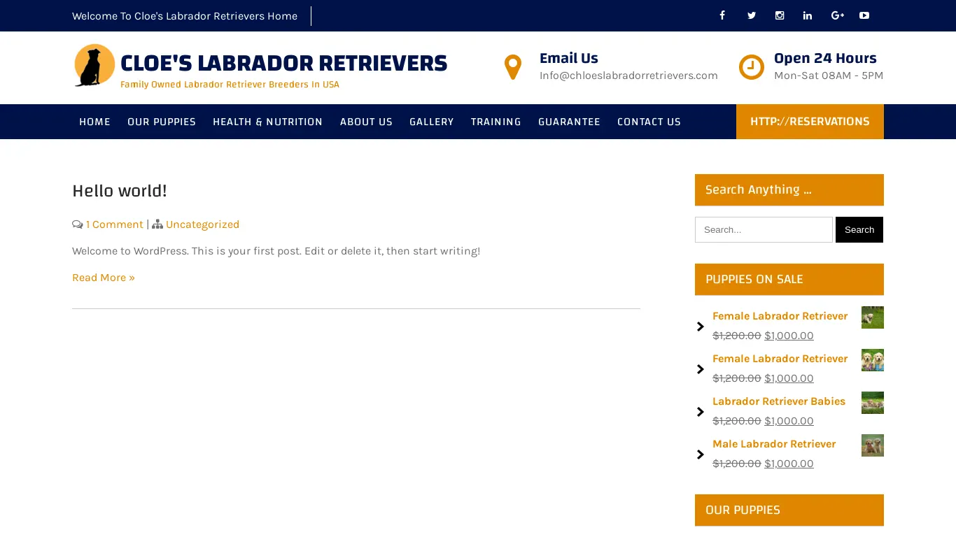 is chloeslabradorretrievers.com legit? screenshot
