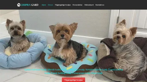 A screenshot of Chopragard.online