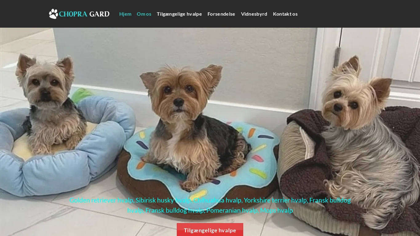 is CHOPRA GARD – Hvalpe til salg legit? screenshot