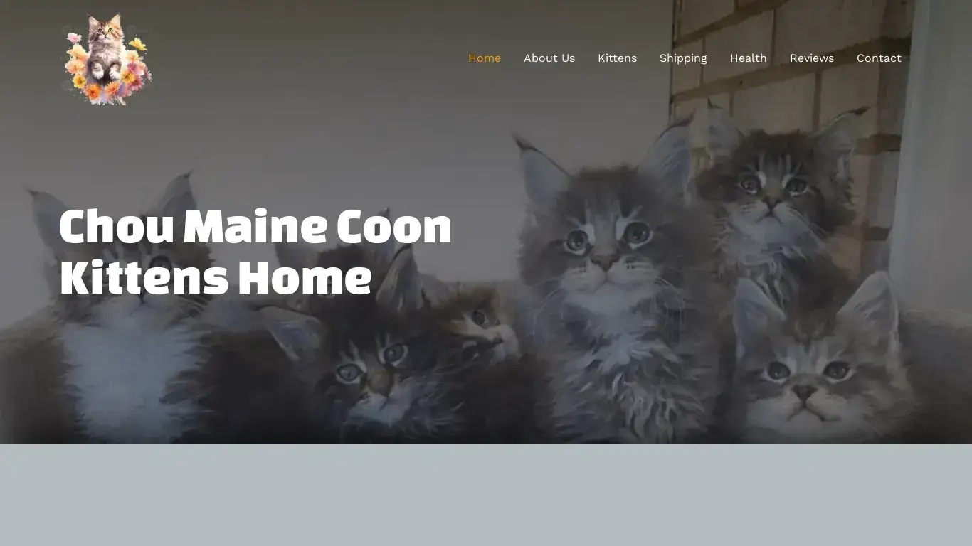 is Maine Coon home – Maine Coon Kittens Home legit? screenshot