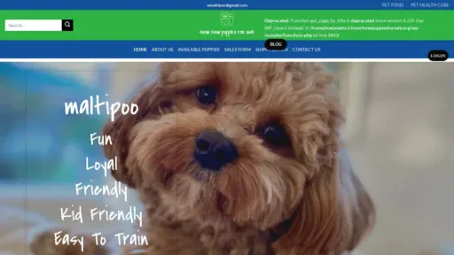 A screenshot of Chowchowpuppiesforsale.org