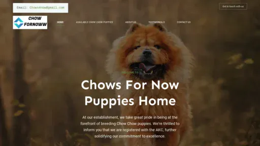 A screenshot of Chowsfornoww.com