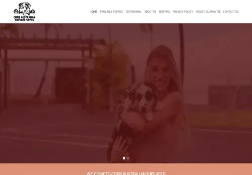 is chrisaustralianshepherdpuppies.com legit? screenshot