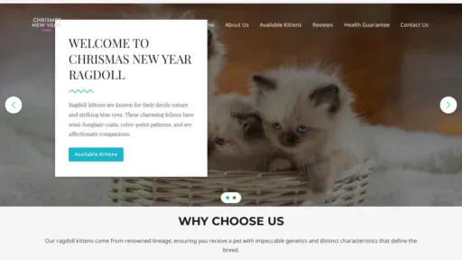A screenshot of Christmasnewyearragdoll.com