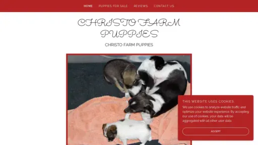A screenshot of Christofarmpuppies.co.za
