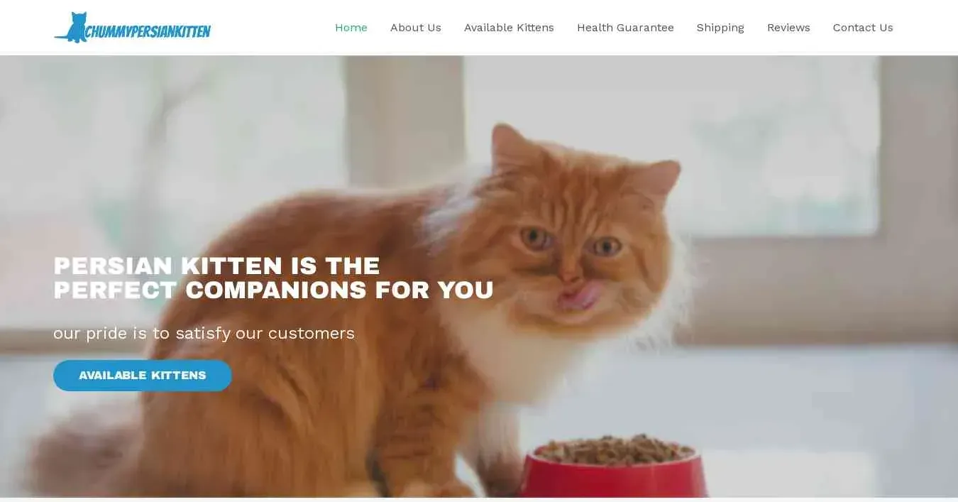 is chummypersiankitten.com legit? screenshot