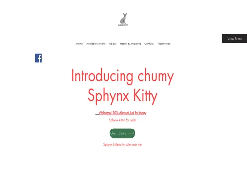 is chumysphynxkitty.com legit? screenshot