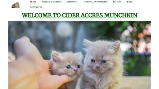 A screenshot of Cideraccresmunchkin.com