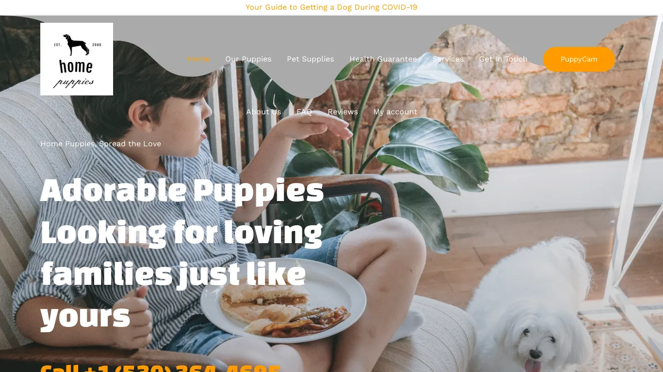 is citihomepuppies.com legit? screenshot
