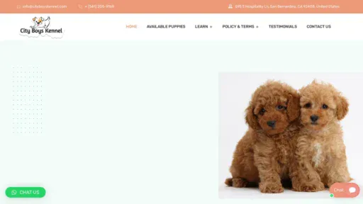 A screenshot of Cityboyskennel.com