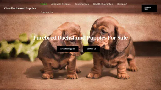 A screenshot of Claradachshundpuppies.com