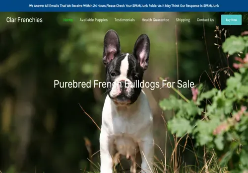 is clarfrenchies.com legit? screenshot