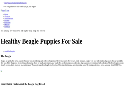 is classicbeaglepuppieshome.com legit? screenshot