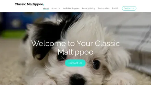 A screenshot of Classicmaltipoo.com