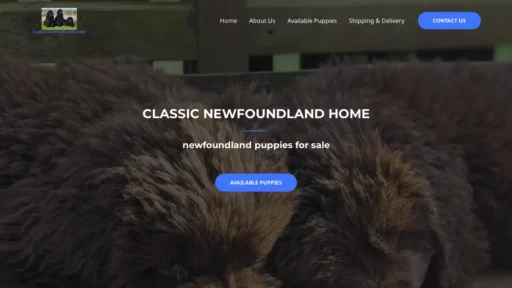 A screenshot of Classicnewfoundlandpuppyhome.com