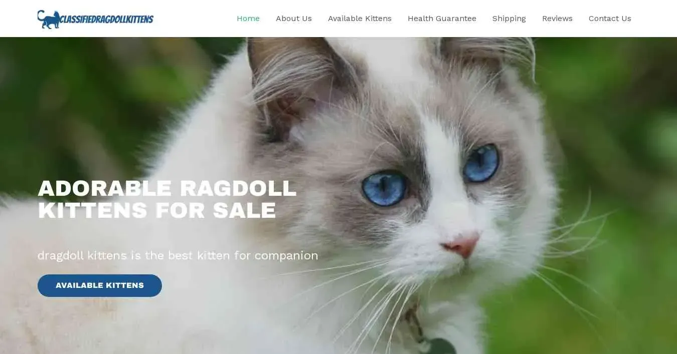 is classifiedragdollkittens.com legit? screenshot