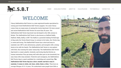 A screenshot of Classystaffordshirebullterrie.com