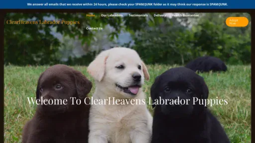 A screenshot of Clearheavenslabradorspuppies.com