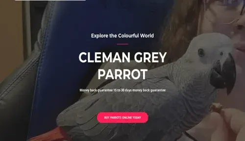 A screenshot of Genlanfamilystbernard.com