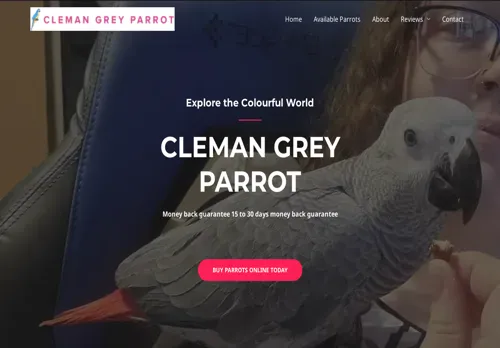 is clemangreyparrot.shop legit? screenshot