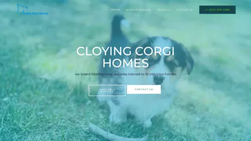 A screenshot of Cloyingcorgihoming.com