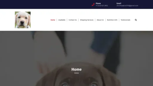 A screenshot of Cmgetretripupsnow.com