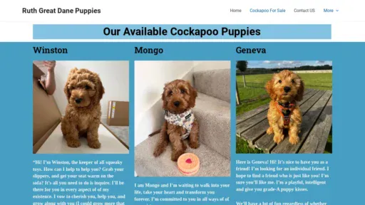 A screenshot of Cockapooforsalehome.com