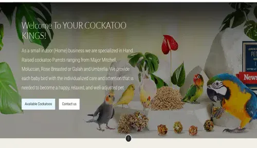 A screenshot of Genlanfamilystbernard.com