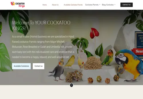 is cockatookings.com legit? screenshot