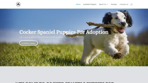 A screenshot of Cockerspanielpuppiesforadoptionnearme.com