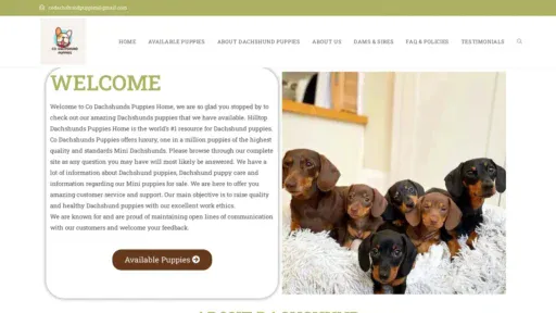 A screenshot of Codachshundpuppies.com