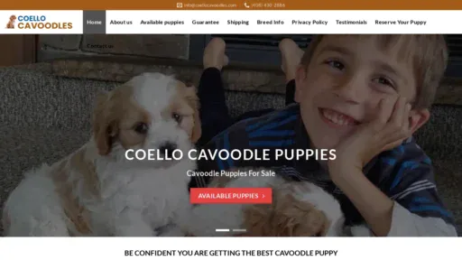 A screenshot of Coellocavoodles.com
