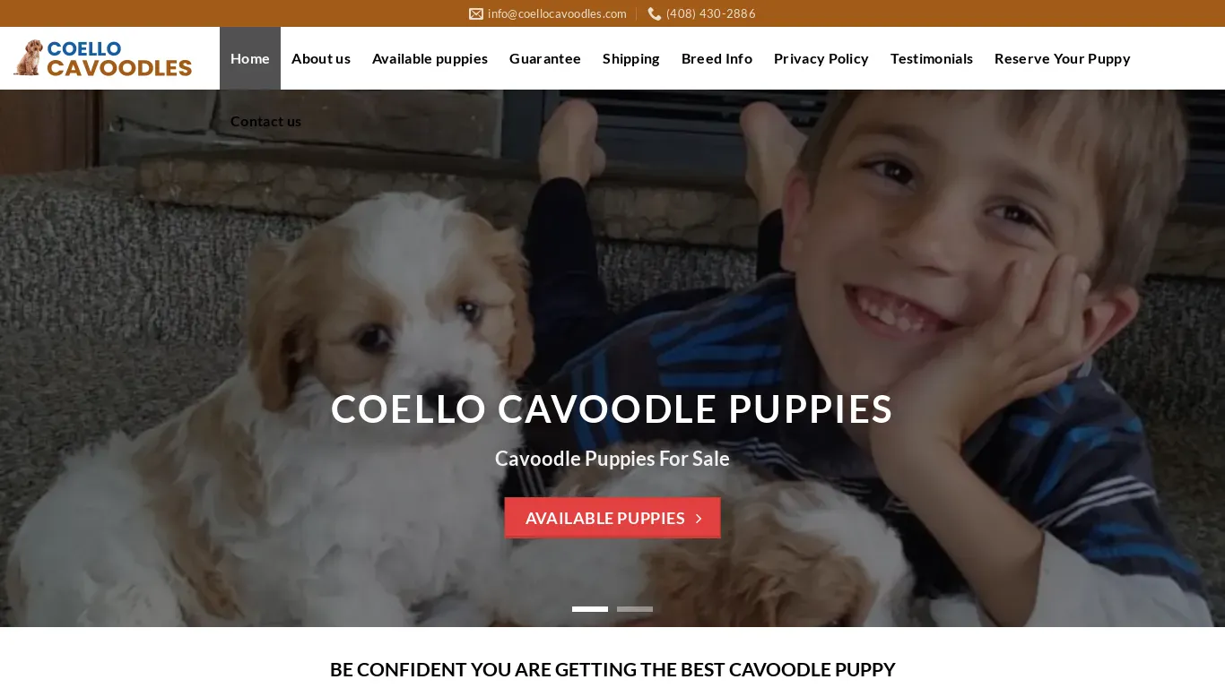 is coellocavoodles.com legit? screenshot