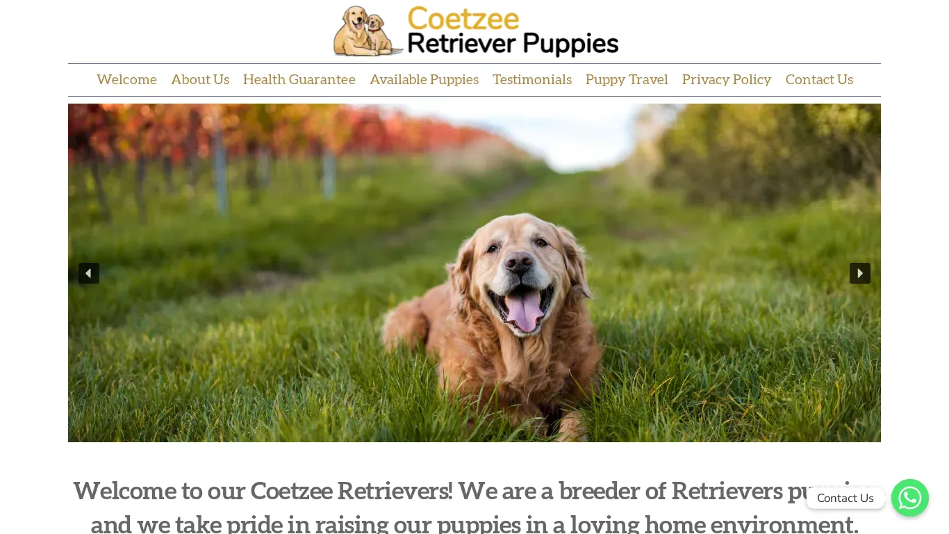 is coetzeeretrievers.com legit? screenshot