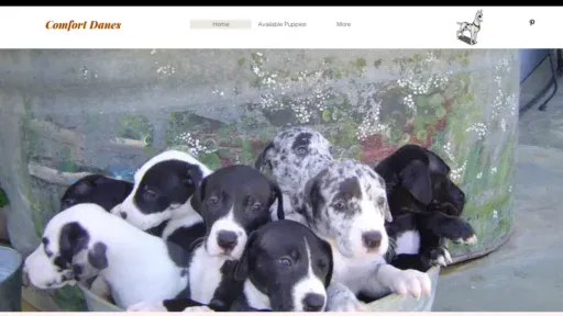 A screenshot of Comfortdanes.com
