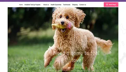 A screenshot of Genlanfamilystbernard.com
