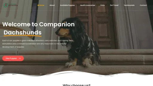 A screenshot of Companiondachshunds.com