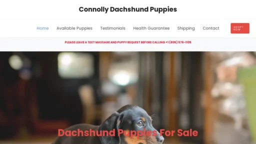 A screenshot of Connollydachshundpuppies.com