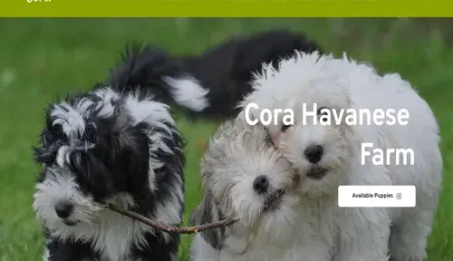 A screenshot of Genlanfamilystbernard.com