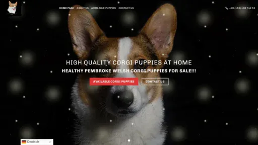 A screenshot of Corgi-welpen.com
