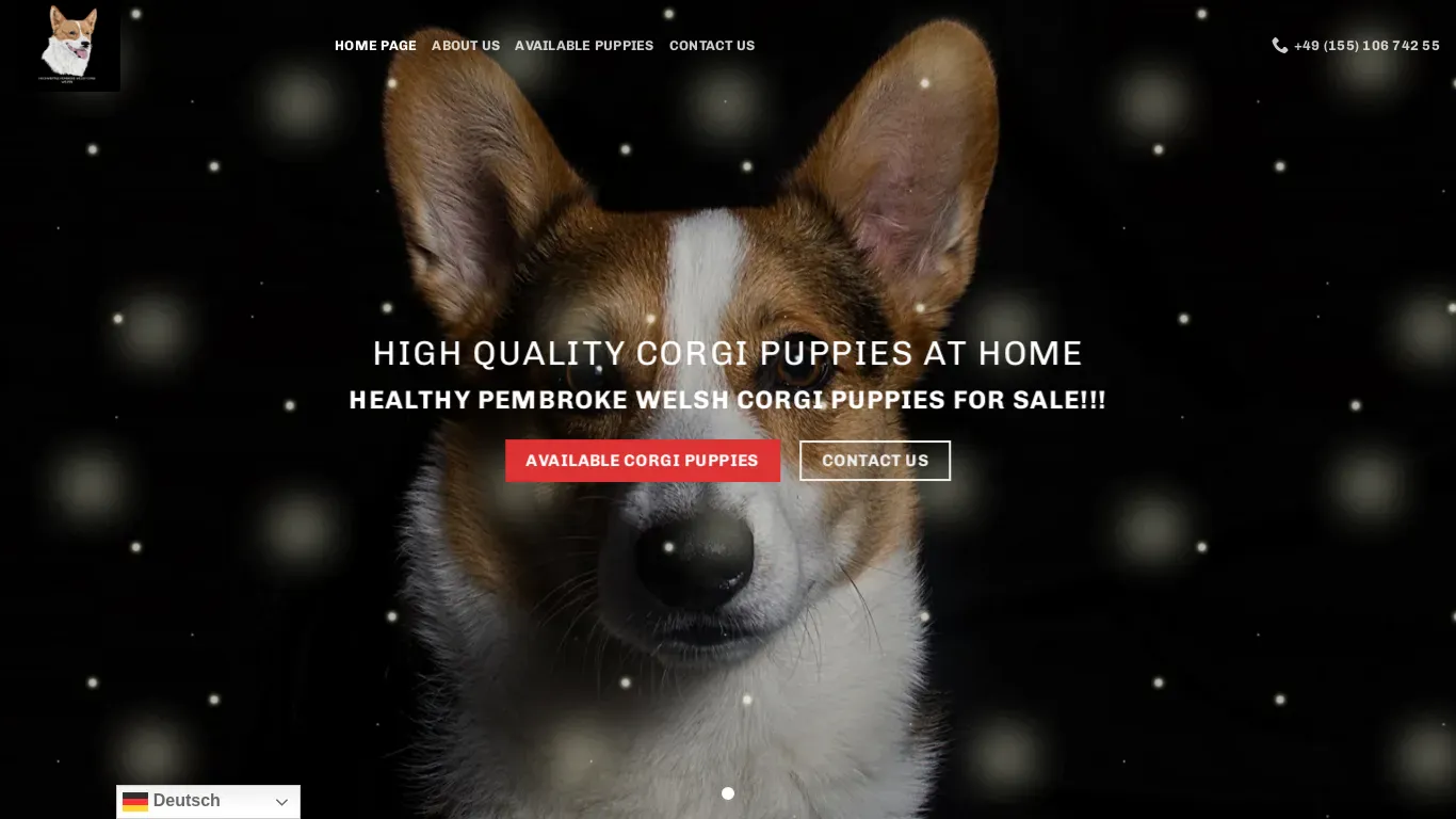 is Corgi Puppies for sale legit? screenshot