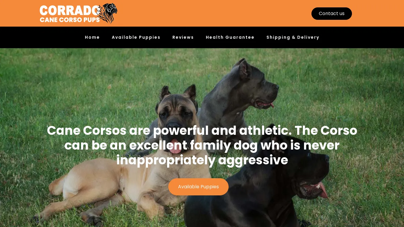 is corradocanecorsopups.com legit? screenshot