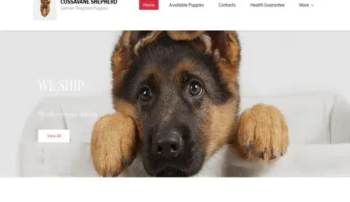 A screenshot of Genlanfamilystbernard.com