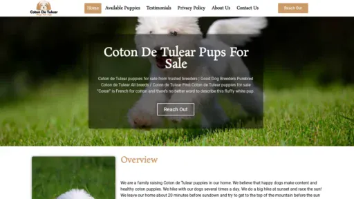 A screenshot of Cotonpupsforsale.com
