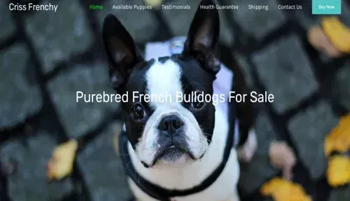 A screenshot of Genlanfamilystbernard.com
