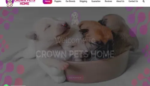 A screenshot of Genlanfamilystbernard.com
